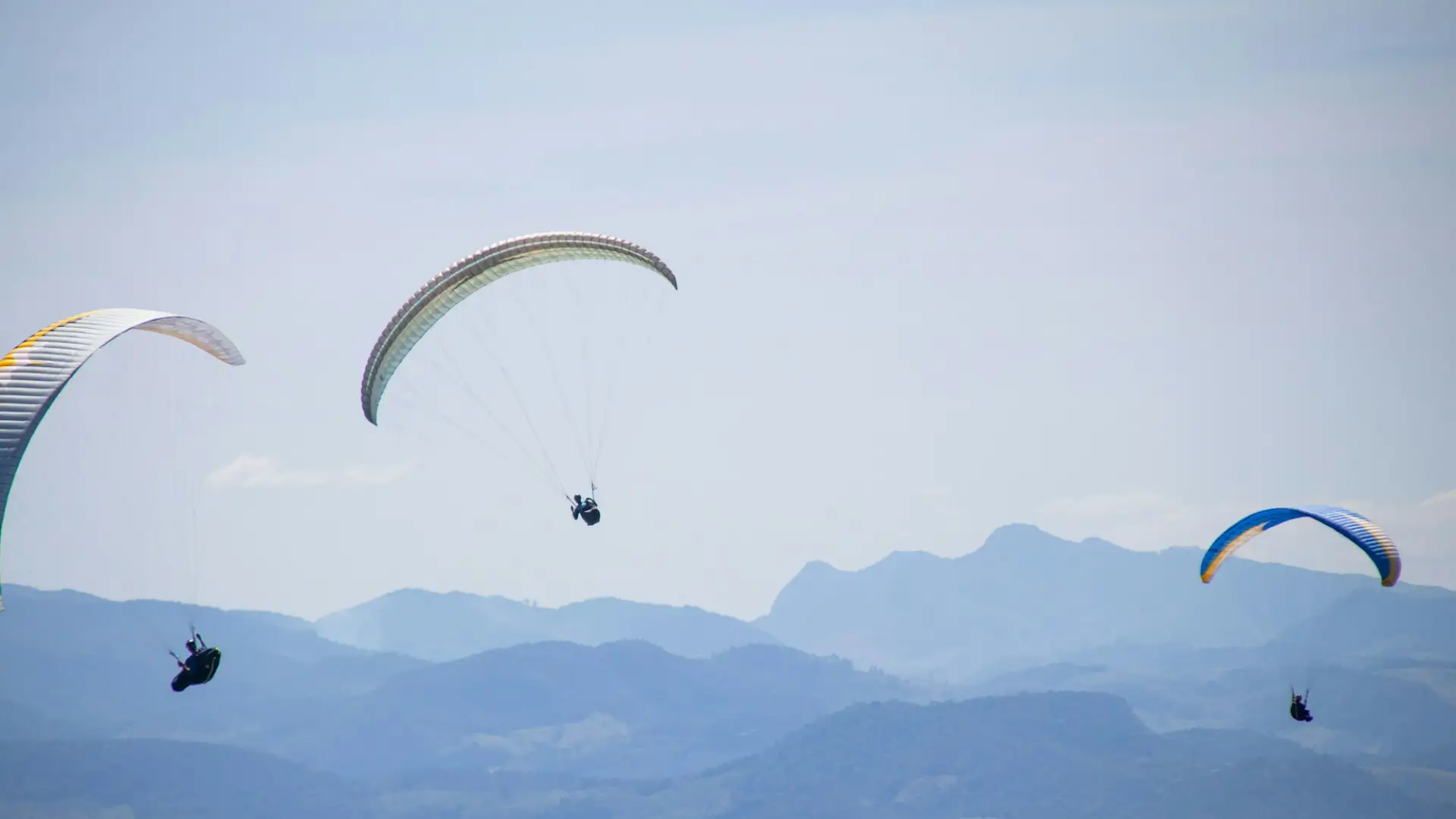 wallace-fonseca-G8dAAP0IrRk-unsplash