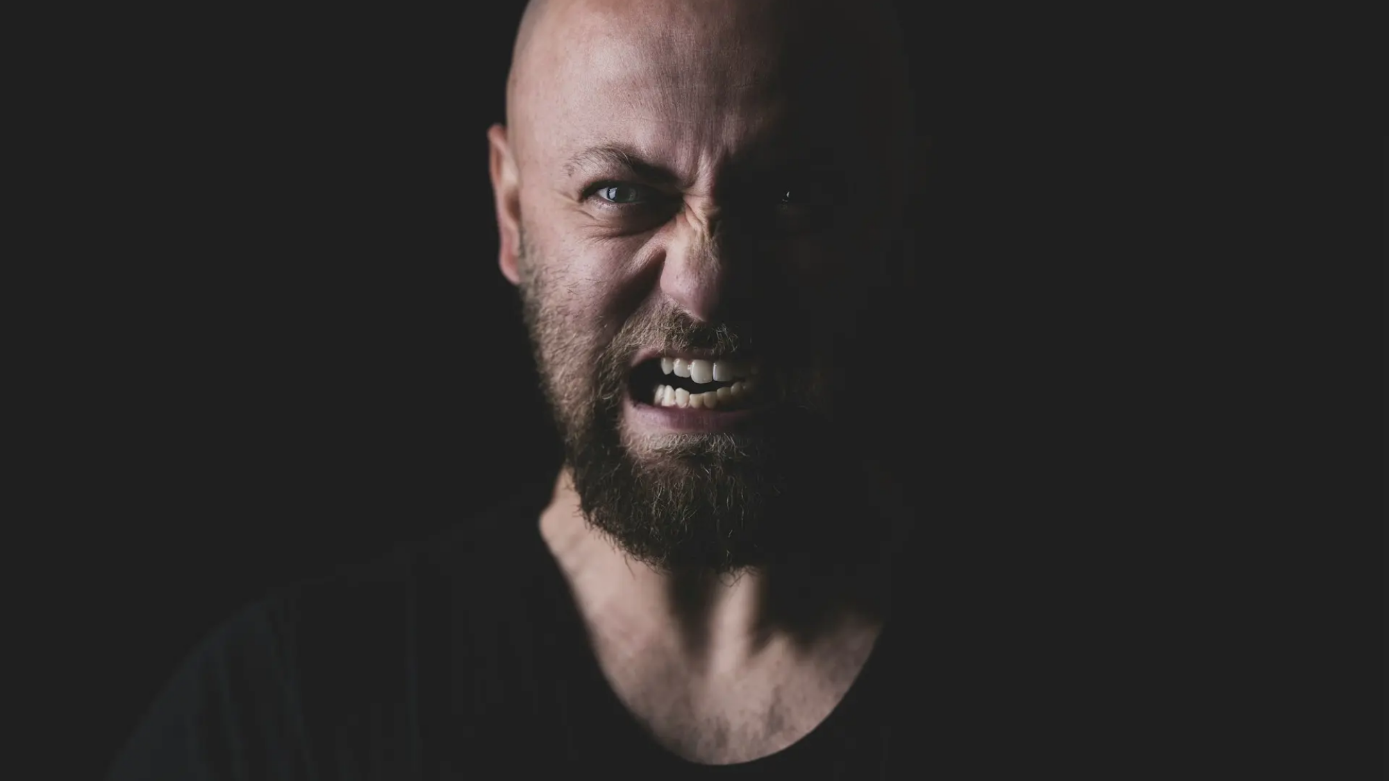 engin-akyurt-AjMXxHwxW_k-unsplash