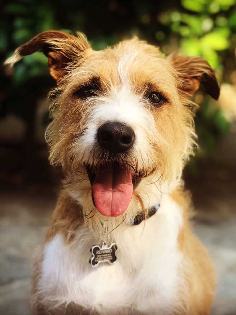 oliver