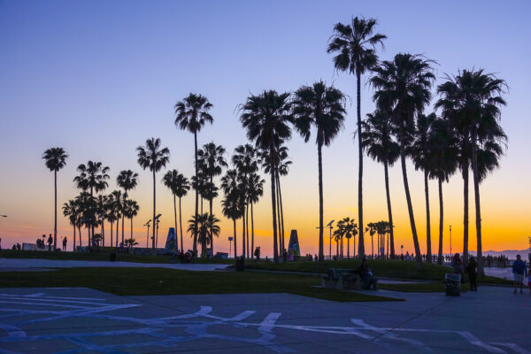 Venice,Beach,After,Sunset,-,Silhouettes,Of,Palm,Trees